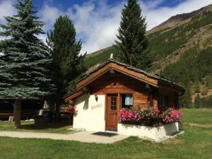 萨斯格伦德Chalet Stadel的花田里的一个小小屋