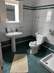 Δίπλα στον Μύλο Ξωτικών في تريكالا: حمام مع مرحاض ومغسلة