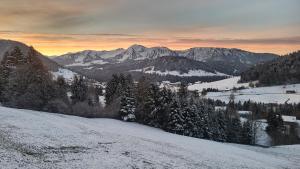 a snowy mountain with trees and mountains in the background at Haus Lang in Hittisau