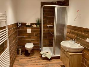 a bathroom with a shower and a toilet and a sink at Ferienwohnungen Zur Biberburg in Friedrichswalde +57 photos