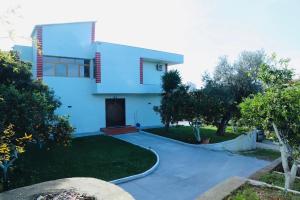 Κήπος έξω από το Vila Vlore