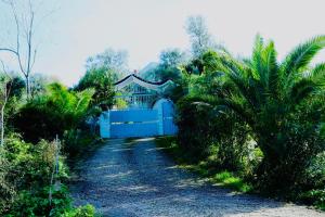 Fotografie z fotogalerie ubytování Vila Vlore v destinaci Vlorë