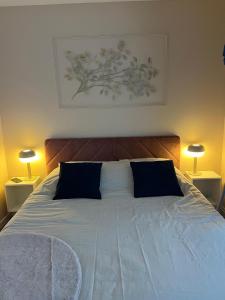 基扬古尔Charmant T2 équipé Proche Versailles的卧室里有一张大床，配有蓝色枕头 更多7张照片