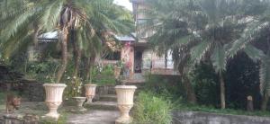 a house with palm trees in front of a yard at Estância do atash in Santa Leopoldina