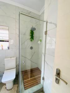 a bathroom with a shower and a toilet at ALIMU villa Mbombela in Nelspruit