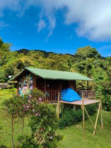 Κήπος έξω από το Finca AVALON Alejandria Antioquia