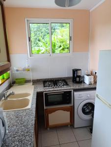 Η κουζίνα ή μικρή κουζίνα στο Studio Launa - 5 lotissenent Tolbiac 2 Route de la Regrettée 97114 Trois - Rivières +6 φωτογραφίες