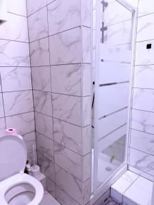 a white bathroom with a shower and a toilet at 2 chambres cosy in Le Bourget