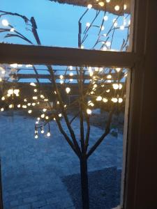 Billede fra billedgalleriet på Farmhouse Cozy House In The Countryside i Stokkemarke