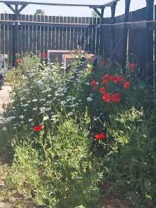 En have udenfor Farmhouse Cozy House In The Countryside