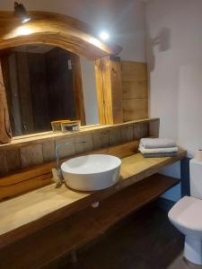 a bathroom with a sink with a mirror and a toilet at the Wild in Volosyanka