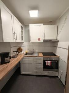 een kleine keuken met witte kasten en een spoelbak bij Laura Central Apartments in Gera