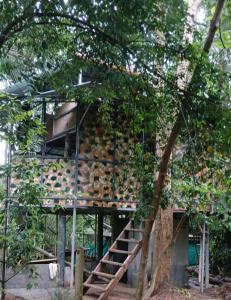 a building with a staircase in the middle of trees at Tapovan fruitopia in Sultan Bathery +16 photos