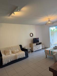 Μια τηλεόραση ή/και κέντρο ψυχαγωγίας στο Kampagn Jacuzzi - Rémire Wifi et climatisation