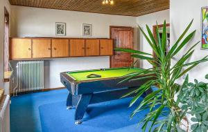 a room with a pool table and a plant at Hellehave in Ravnholt