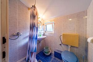 ein Badezimmer mit einem blauen WC und einem Waschbecken in der Unterkunft Apartments with parking space Trpanj, Peljesac - 257 in Trpanj