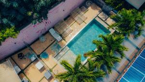 Una vista aérea de una piscina con palmeras. en Viajero Cali Hostel, en Cali