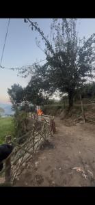 Zdjęcie z galerii obiektu Seto Ghar home stay and Agro Farm w Katmandu