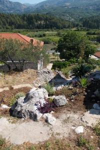 Природа в окрестностях апартаментов/квартиры