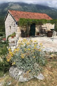 Природа в окрестностях апартаментов/квартиры