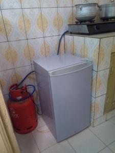 KikaGhi House的坐在冰箱旁的红色消防龙头