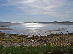 Un gran cuerpo de agua con un grupo de aves en la orilla. en Home Farm, en Dunragit
