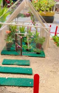 Un invernadero con plantas sobre una mesa. en Maypen, en Wallen