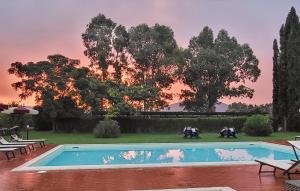 a swimming pool in a yard with trees in the background at Villa Magnolia in Grosseto