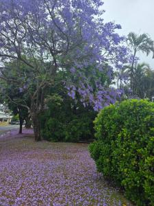 Φωτογραφία από το άλμπουμ του 2 Long between breaks σε Κοφς Χάρμπορ