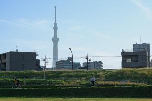 two people riding bikes in a city with a tv tower at Skytree View Riverside Terrace in Tokyo