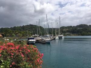 Foto dalla galleria di Fredam Yacht Retreat - Port Antonio Marina Escape! a Port Antonio
