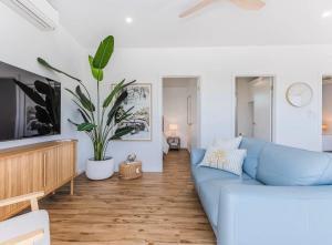 a living room with a blue couch and a potted plant at The Sand Box in Kingscliff
