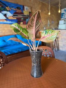 Billede fra billedgalleriet på Casa de Praia, Onda Serena i Piaçabuçu