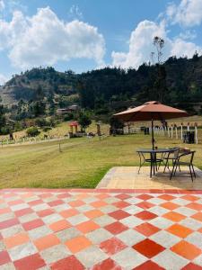 a picnic table with an umbrella in a field at Cabaña Brisa Andina in Tibaná
