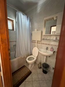 un piccolo bagno con un water e un lavandino di Apartments and rooms by the sea Sobra, Mljet - 4888 a Sobra