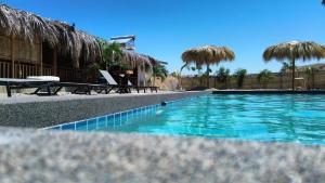 a swimming pool with blue water and straw umbrellas at Panorama garden inn in Máncora