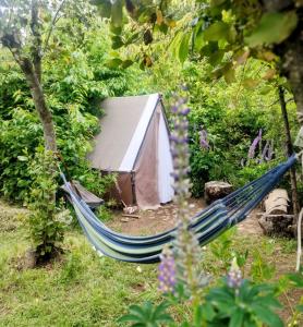 埃博森Refugio Holístico Flora Boreal的花园内的吊床,带帐篷