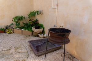 a barrel sitting in the corner of a room with plants at Casa Rio Lagartos in Río Lagartos