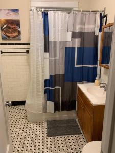 a bathroom with a shower curtain and a sink at North Chicago Spacious Home in Chicago