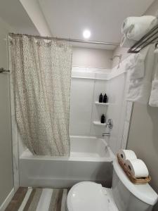 a bathroom with a toilet and a shower curtain at Elegance by Mal and Al Luxury Private Bsmt Suite in Regina