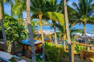 Příroda nedaleko hotelu