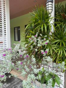 Κήπος έξω από το Spice & Sea Resort