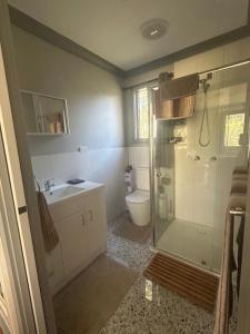a bathroom with a shower and a sink and a toilet at Quiet Rural Retreat - Kimbriki in Mount George