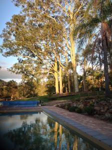 a pool of water in a park with palm trees at Quiet Rural Retreat - Kimbriki in Mount George +15 photos