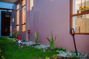a house with a yard with plants in the grass at HOTEL TERRANOVA Abancay in Abancay +12 photos