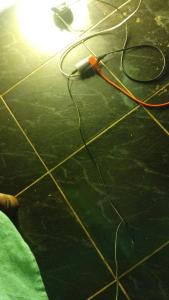 Φωτογραφία από το άλμπουμ του Genesis 288 στο Κίνγκστον