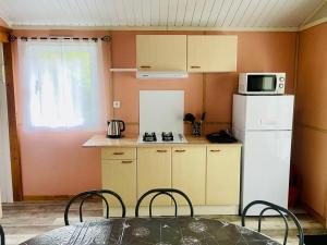 Η κουζίνα ή μικρή κουζίνα στο Chalet 8 pers avec Terrasse - API-1-52-1027