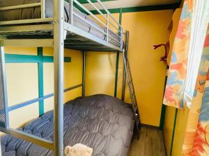 a bunk bed room with two bunk beds and a ladder at Chalet Confort 6 Pers - Terrasse - API-1-52-1032 in Belloc +28 photos