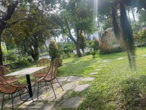 Κήπος έξω από το The Palms Hotel