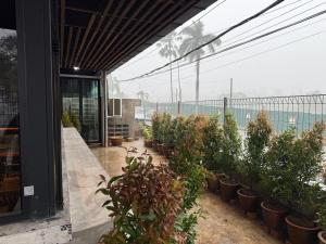 a row of potted plants sitting outside of a building at travellersloft 168 in Johor Bahru